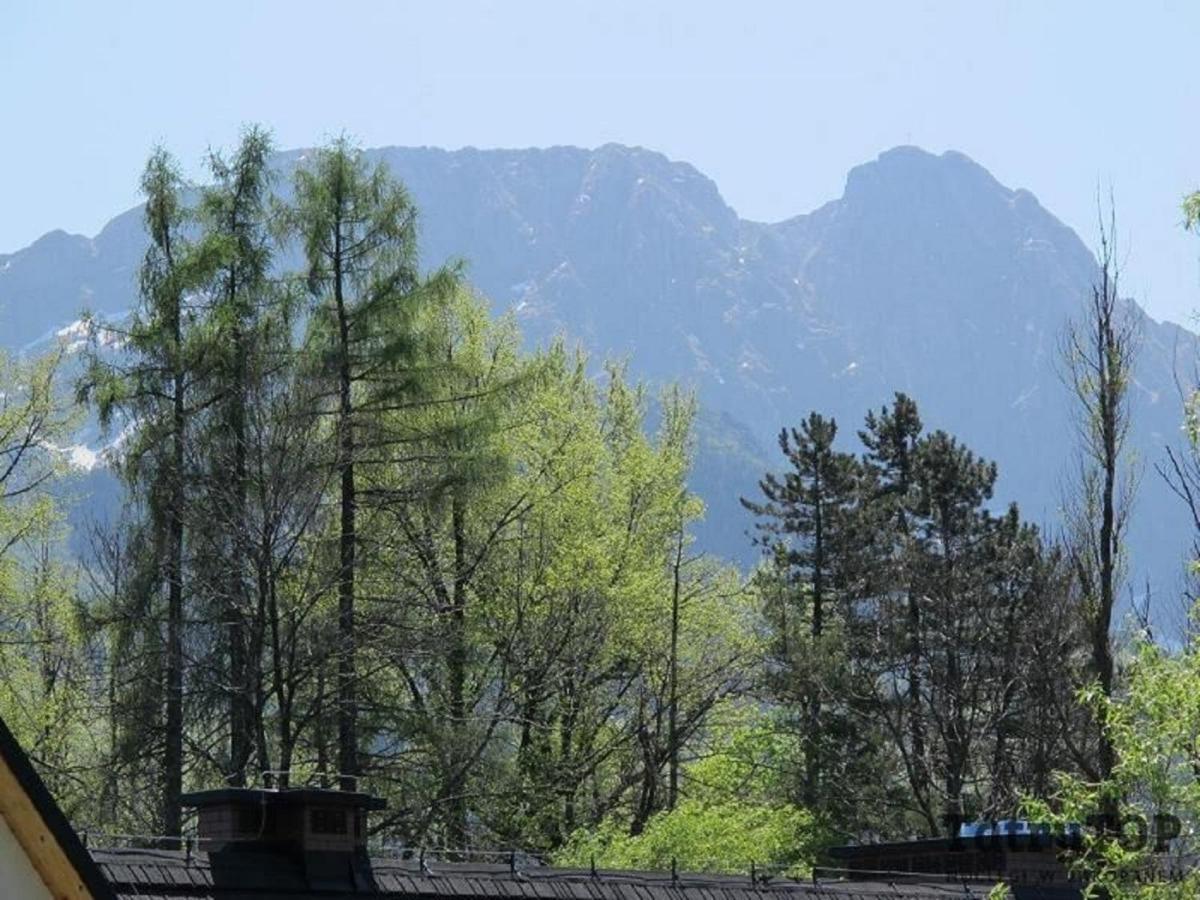 Tatrytop Apartamenty Kaszelewski Zakopane Extérieur photo